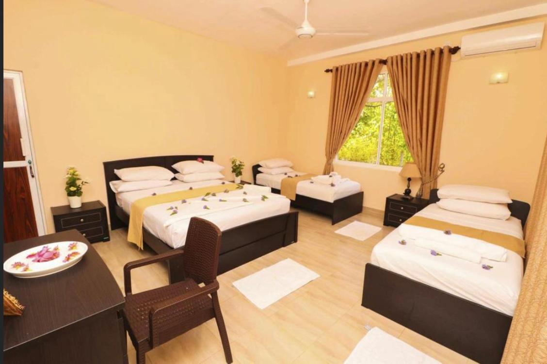 Peacock Resort أنرادابورام المظهر الخارجي الصورة